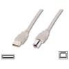5m Cable USB 2.0 A-B Beige                                                                          